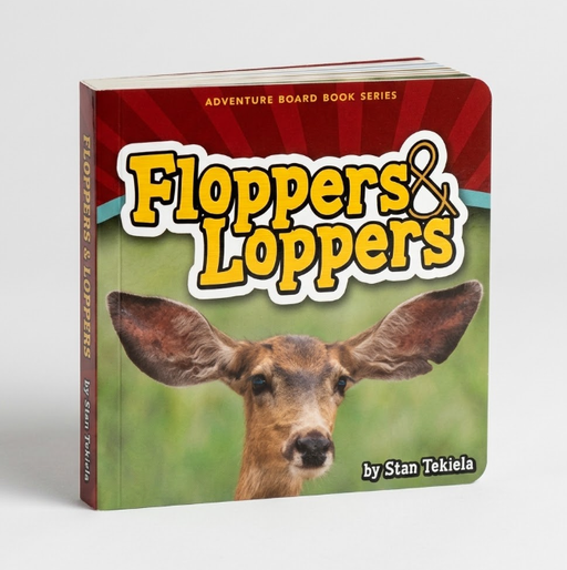 Floppers & Loppers Board Book
