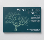 Winter Tree Finder: Identifying Deciduous Trees of Eastern North America by Their Bark and Twigs