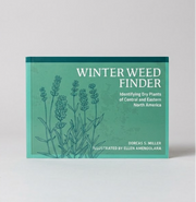 Winter Weed Finder: Identifying Dry Plants of Central and Eastern North America