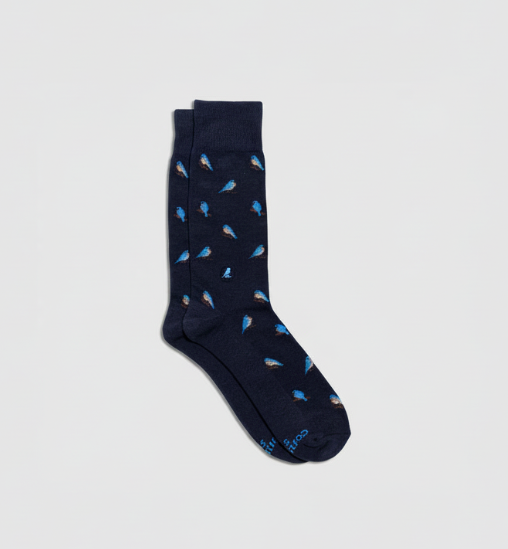 Socks That Protect Bluebirds
small
