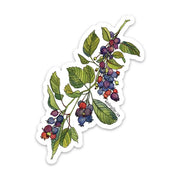 Sticker with a colorful illustration of berries and leaves on a white background