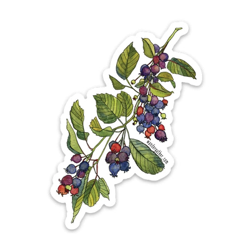 Sticker with a colorful illustration of berries and leaves on a white background