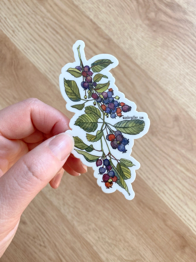 Hand holding a sticker with a colorful illustration of berries and leaves on a white background