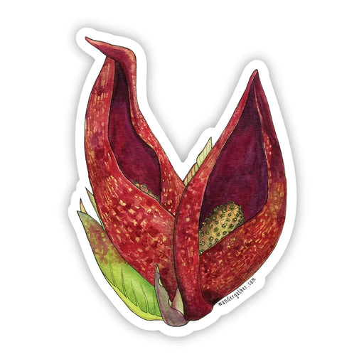 Sticker featuring botanical illustration of red skunk cabbage wildflower on white background.
