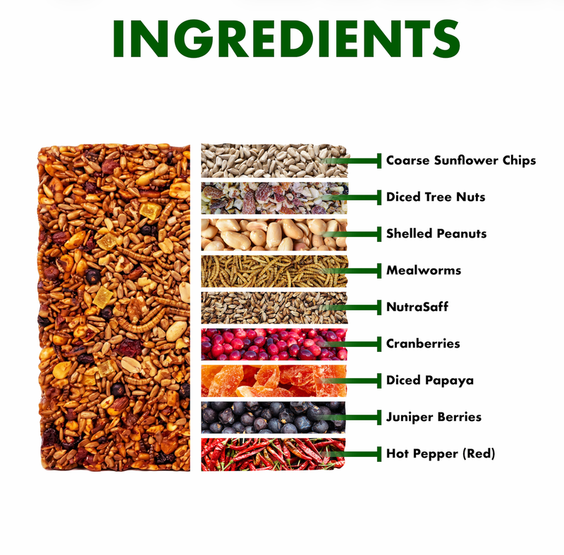 Spicy Bugs Nuts Berry Seed cake ingredient infographic
