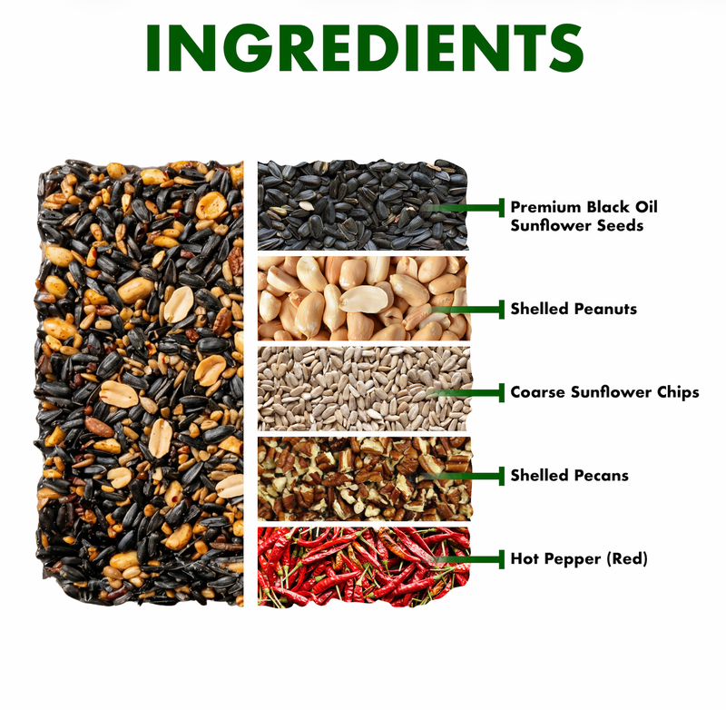 Spicy Hot Seed Cake Ingredient Infographic