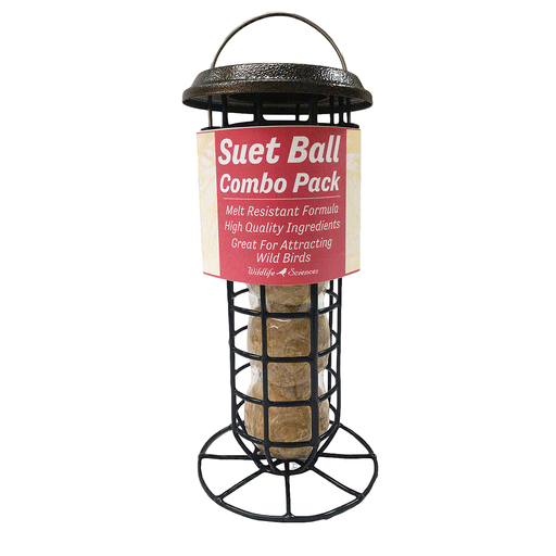 Suet Ball and Feeder Combo Pack