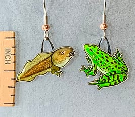Tadpole & Frog Earrings with ruler for scale