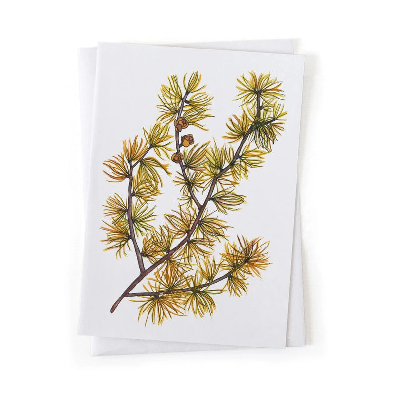 5x7 card featuring fall foliage of Tamarack Larch branch with yellow needles on a white background
