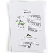 Range map and educational information about about Larcha laricina Tamarack. Text and illustrations on a white background