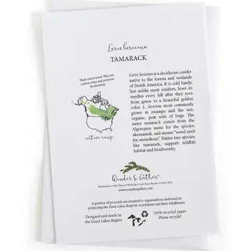Range map and educational information about about Larcha laricina Tamarack. Text and illustrations on a white background