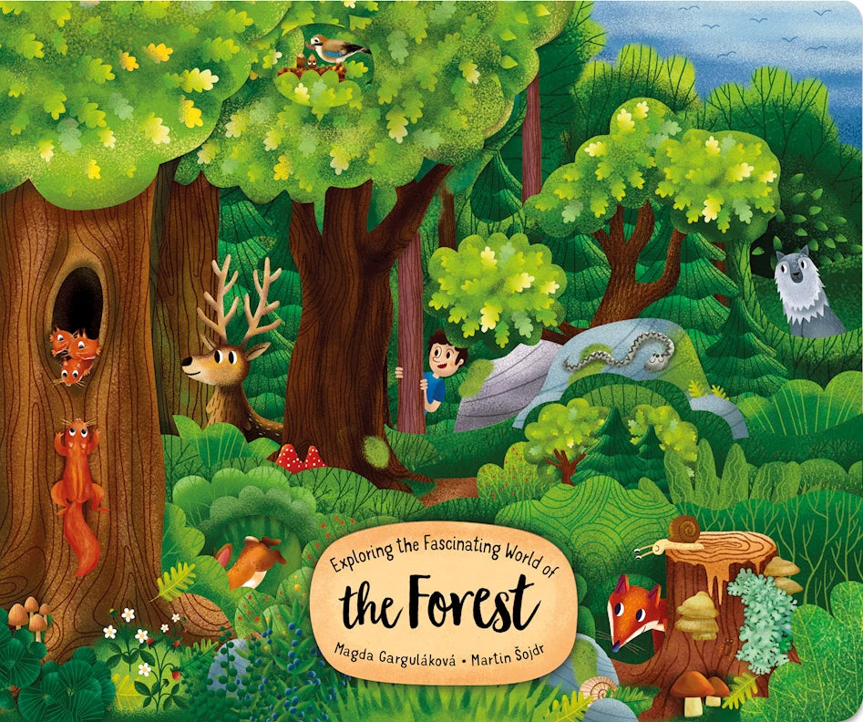Exploring the Fascinating World of the Forest - Board Book — Nature Niche
