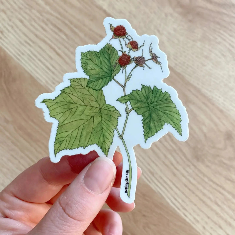 Hand holding a sticker featuring a branch of thimbleberries