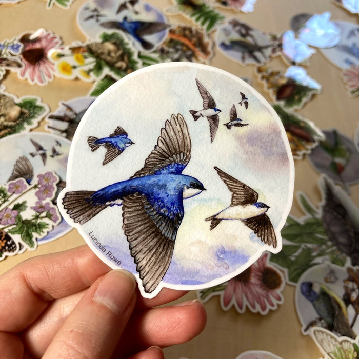 Vinyl Sticker - Tree Swallows Flying