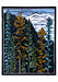 Molly Hashimoto: Trees Boxed Notecard Assortment - :Larches, Spruce and Fir