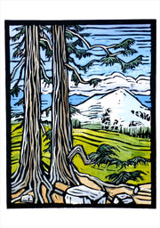 Molly Hashimoto: Trees Boxed Notecard Assortment - Mountain Hemlock