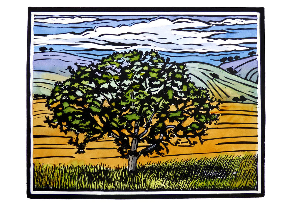 Molly Hashimoto: Trees Boxed Notecard Assortment - Mt. Baker Oregon White Oak