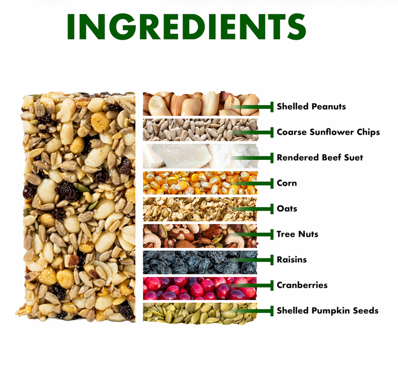 Woodpecker Favorite seed cake ingredient infographic