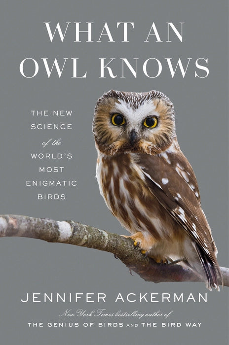 Cover of book What an Owl Knows by Jennifer Ackerman - photograph of owl on a branch