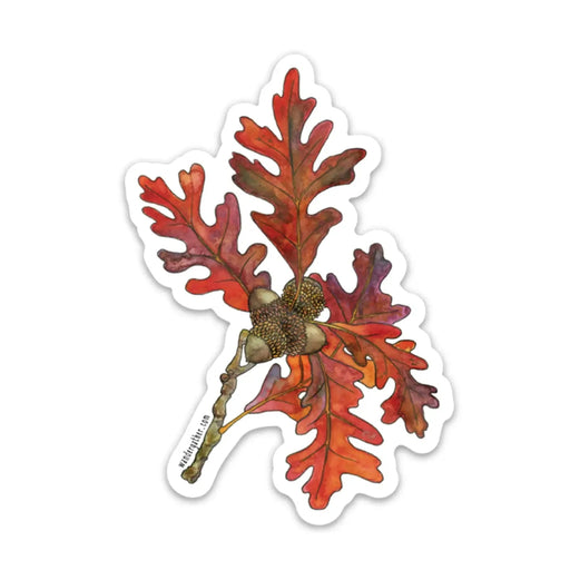 Sticker with white oak leaves and acorns on a white background