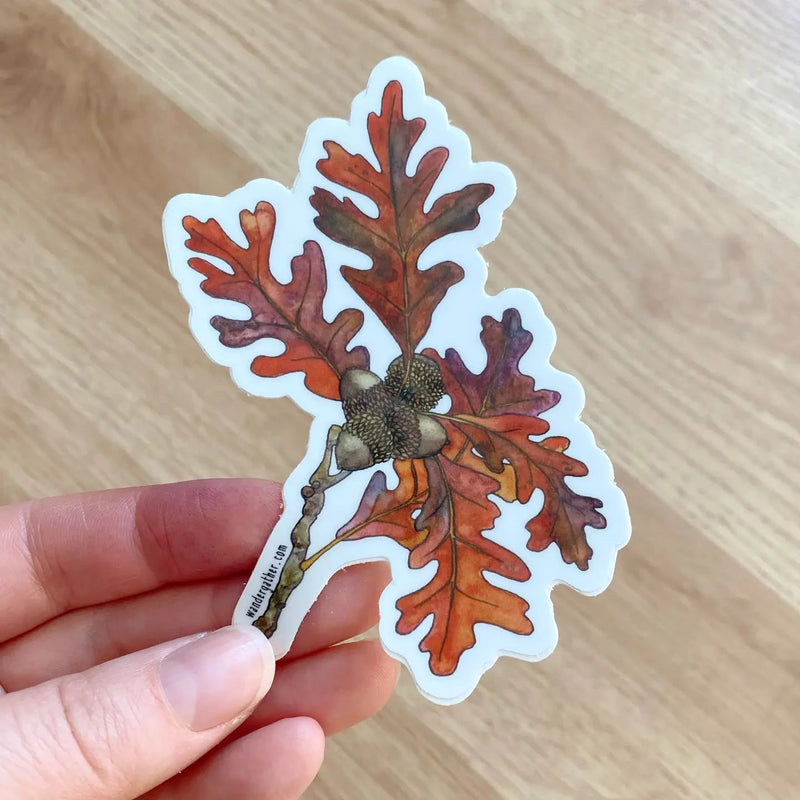 Hand holding a sticker with white oak leaves and acorns 