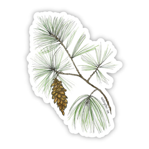 Sticker with a pine branch and cone on a white background