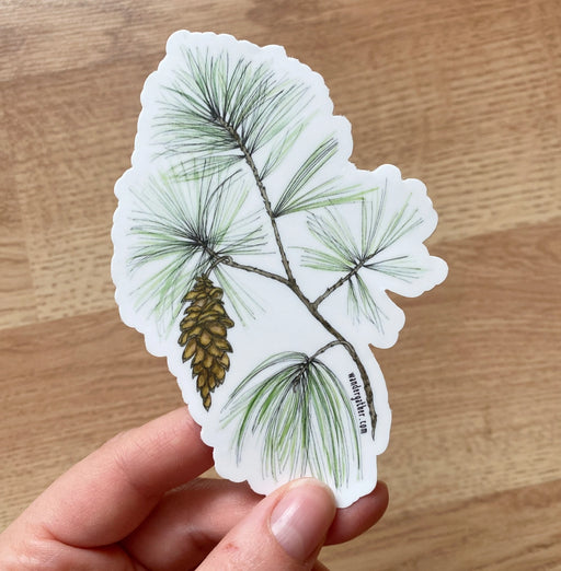 Hand holding a sticker with a pine branch and cone on a white background