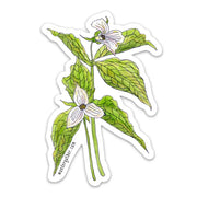 Sticker featuring botanical illustration of white trilium flowers with green foliage on a white background