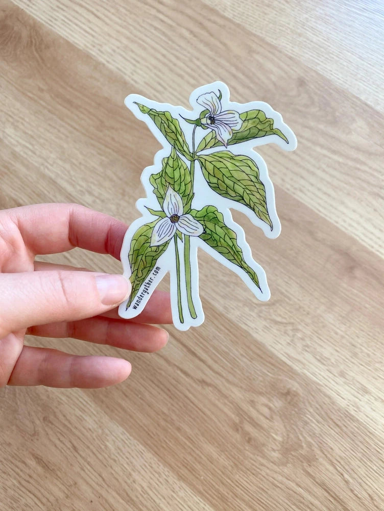 Hand holding a sticker of white trillium flowers with green foliage.