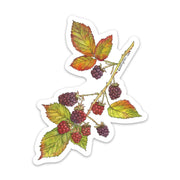 Sticker featuring botanical illustration of wild blackberry branch on white background