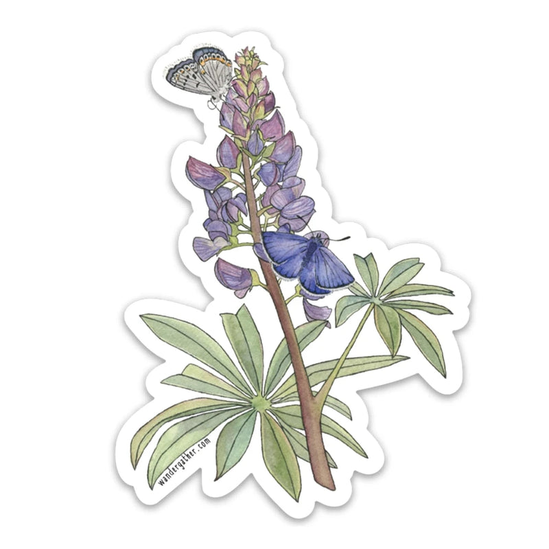 Sticker with a wild lupine flower and Karner's Blue butterfly on a white background