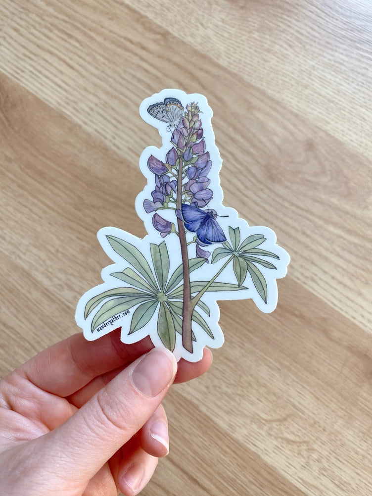Hand holding a sticker with a wild lupine flower and Karner's Blue butterfly on a white background