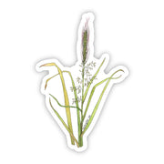 Sticker featuring botanical illustration of Wild Rice Manoomin plant on white background