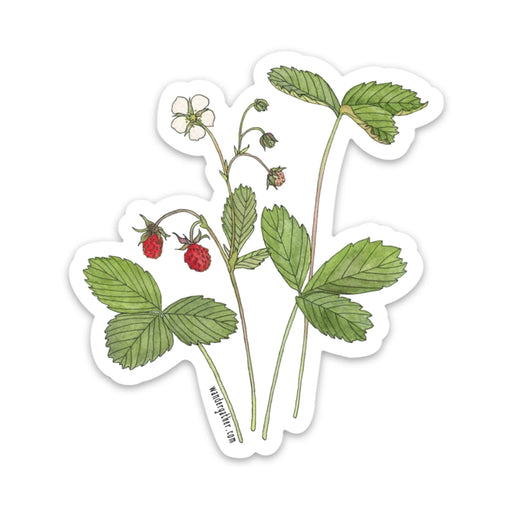 Illustration of a strawberry plant with leaves and berries on a white background