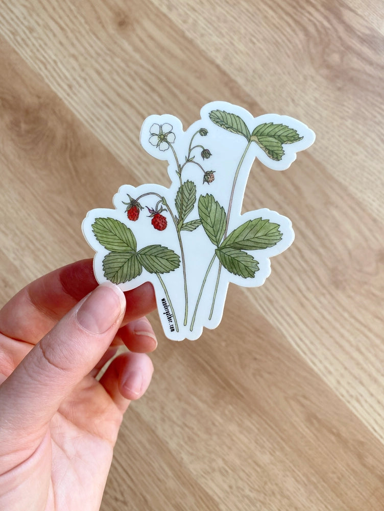 Hand holding a sticker with botanical design above a wooden surface