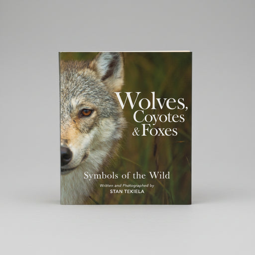 Wolves, Coyotes & Foxes