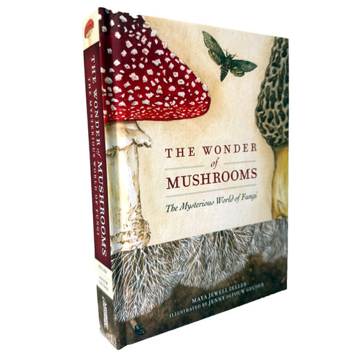Book cover from side angle of 'The Wonder of Mushrooms' with mushroom and moth illustration on a white background