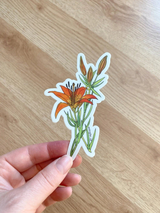 Hand holding a sticker of an orange wood lily flower with green leaves 