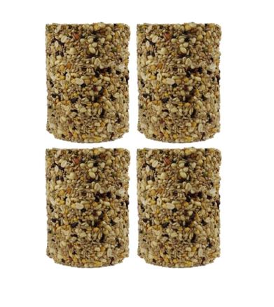 4 Pack Woodpecker Favorite Seed Cylinder - Large - 5 lbs