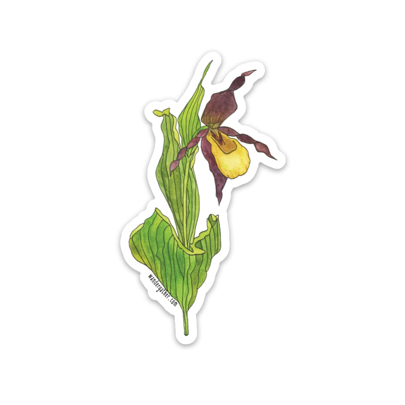 Sticker featuring a yellow lady slipper wildflower with foliage on a white background