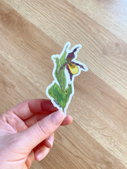 Hand holding a sticker featuring a yellow lady slipper wildflower with foliage on a white background