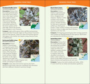 Common Lichens of the Eastern United States Quick Guide sample pages