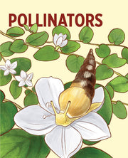 Pollinators Knowledge Cards
