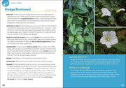 Common Backyard Weeds of the Midwest
sample pages