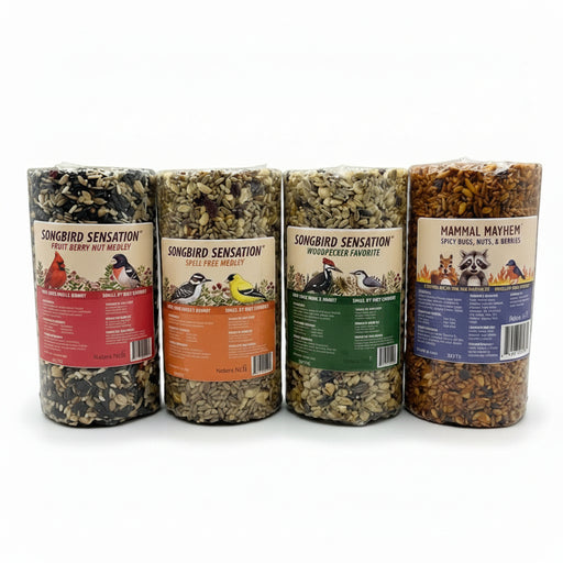 Songbird Seed Cylinder Variety Pack with a Little Spice - 4 Piece