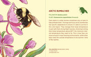 Pollinators Knowledge Cards