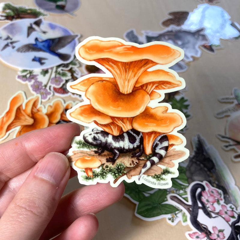 Sticker Glow in the Dark - Marbled Salamander with Fungi