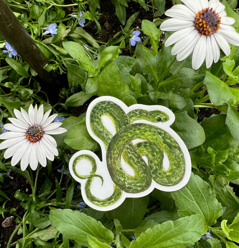 Smooth Green Snake Sticker