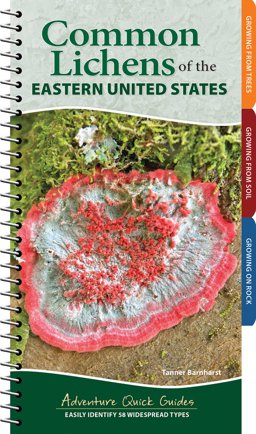 Common Lichens of the Eastern United States Quick Guide