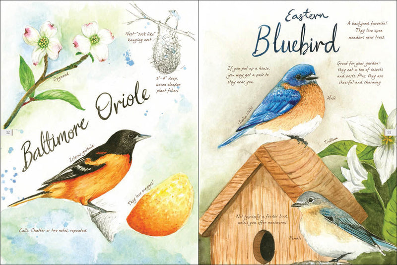 Drawn to Birds: A Naturalist's Sketchbook